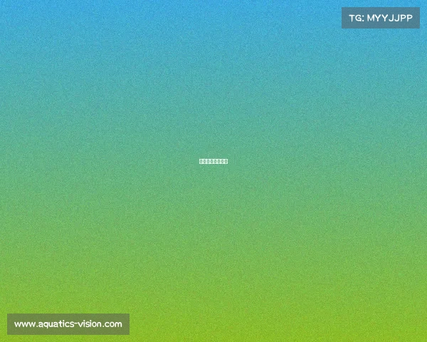 最新电子竞技游戏