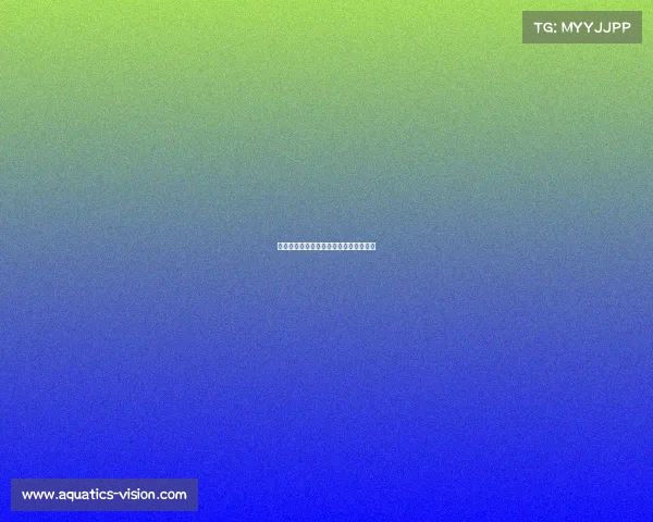 株洲布局电竞新赛道，竞逐数字体育未来