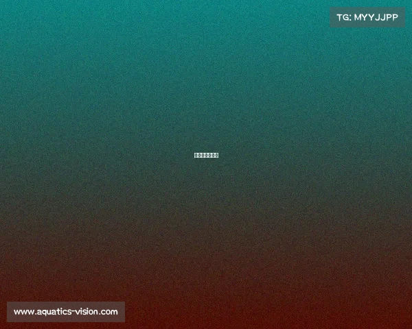 江西省霖感电竞